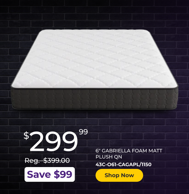 6" Gabriela Foam Queen Mattress