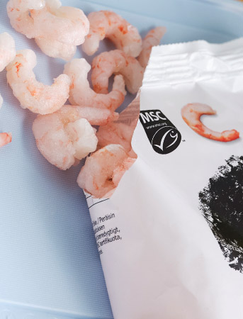 Shrimp