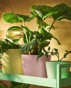 The pink SOJABÖNA plant pot with a standard smooth design holds a plant while sitting on a cart.