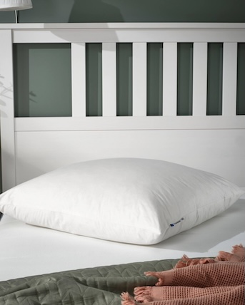Find bed pillows