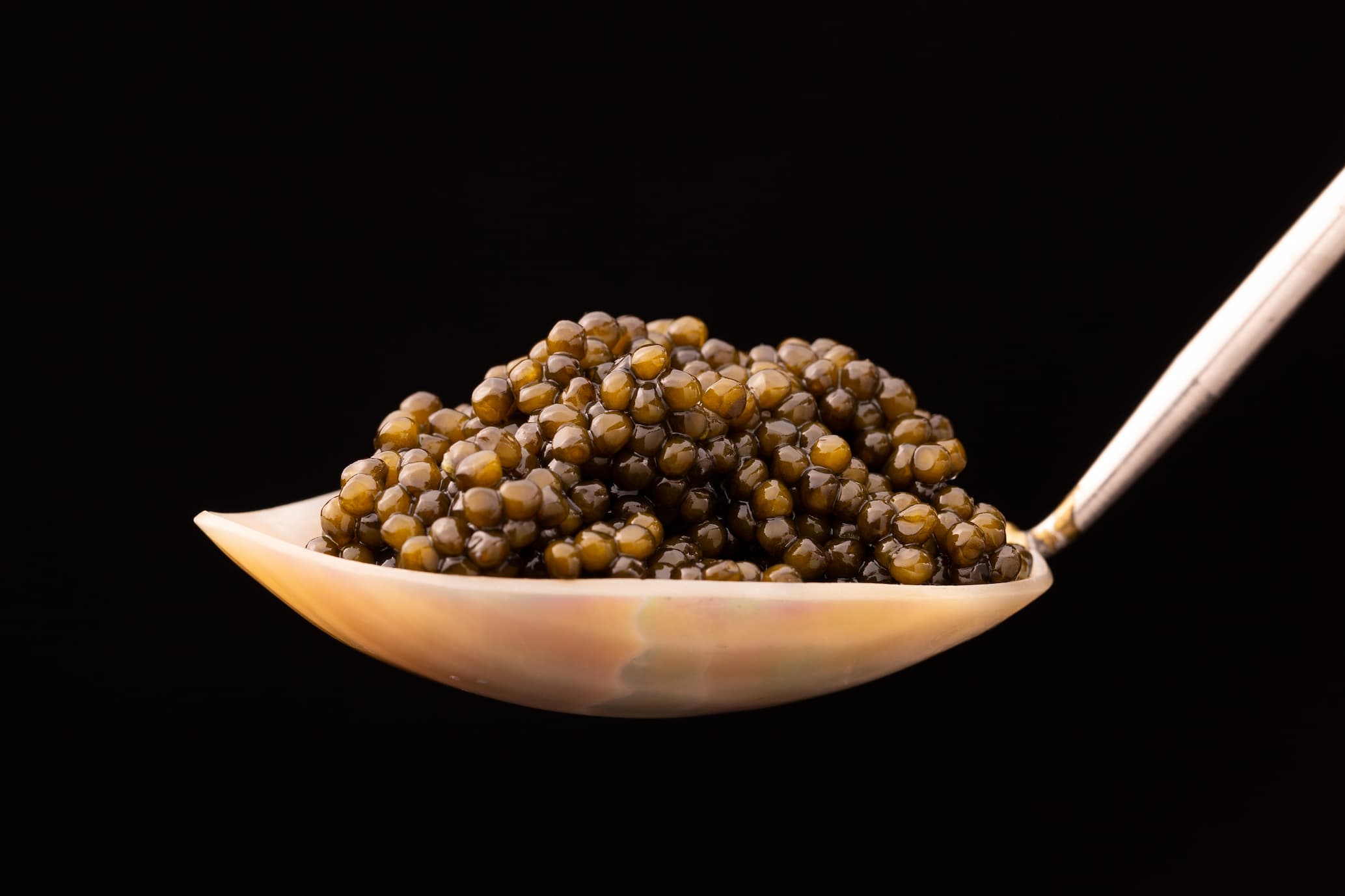 Imperia Caviar