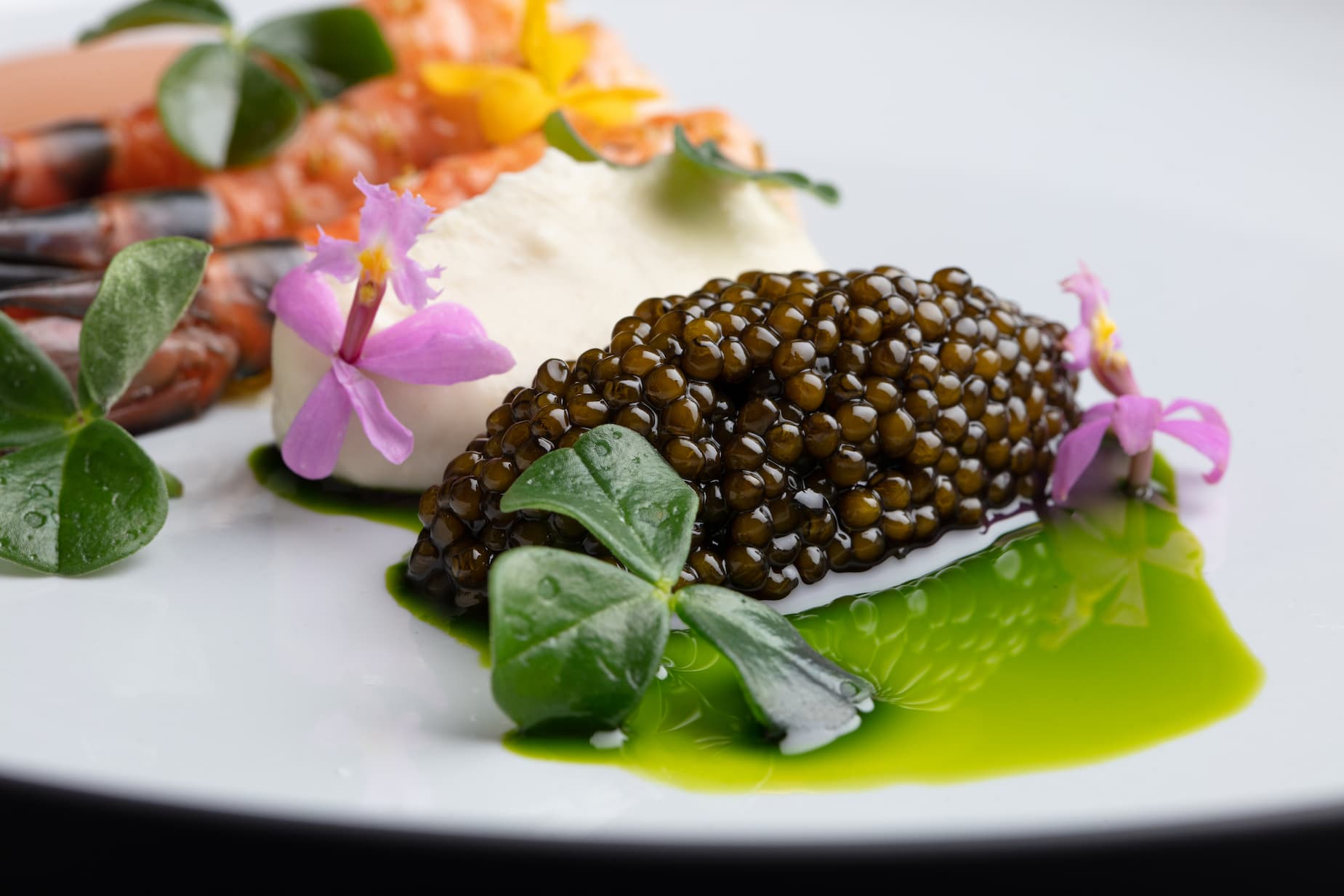 Imperia Caviar fine dining