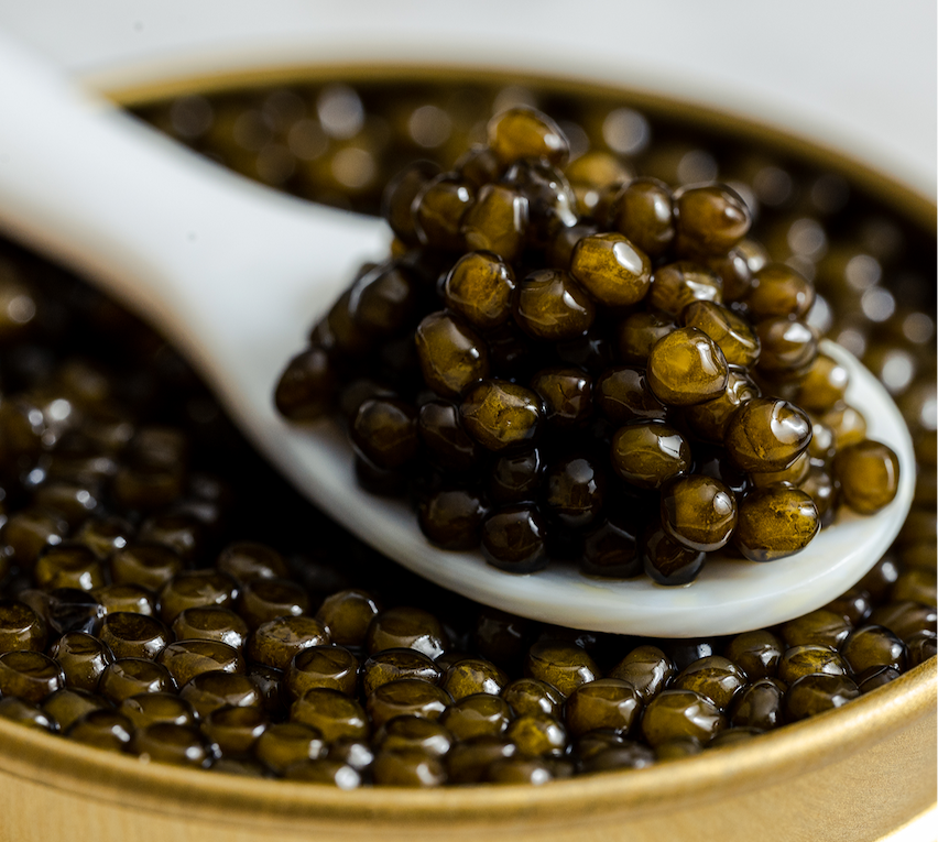 Imperia Caviar