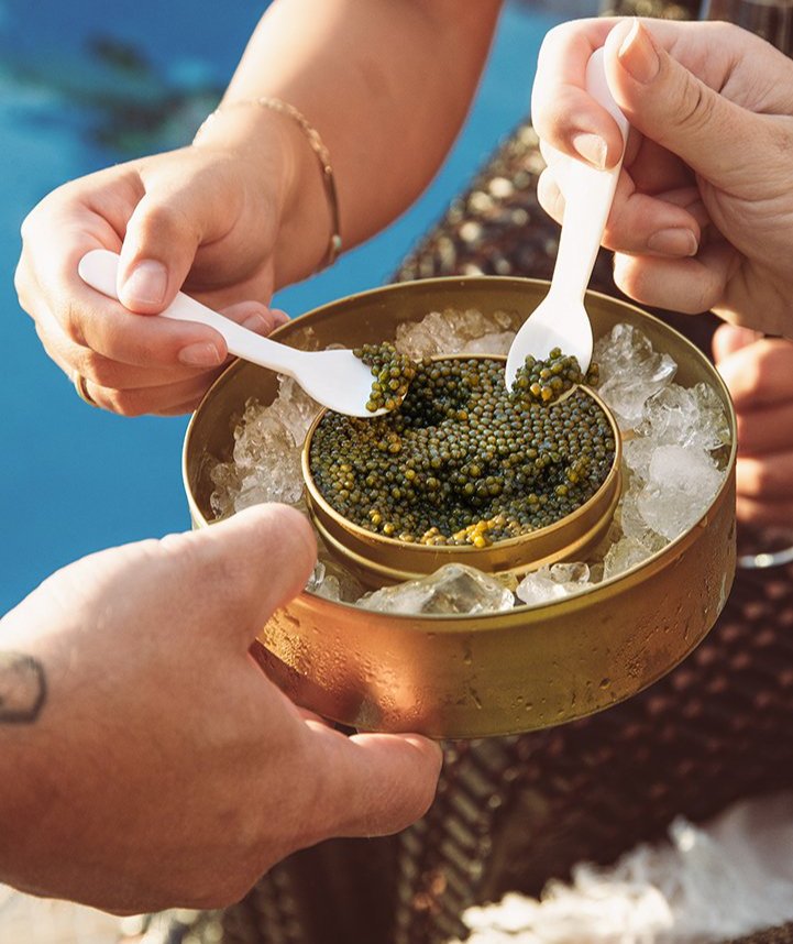 Imperia Caviar
