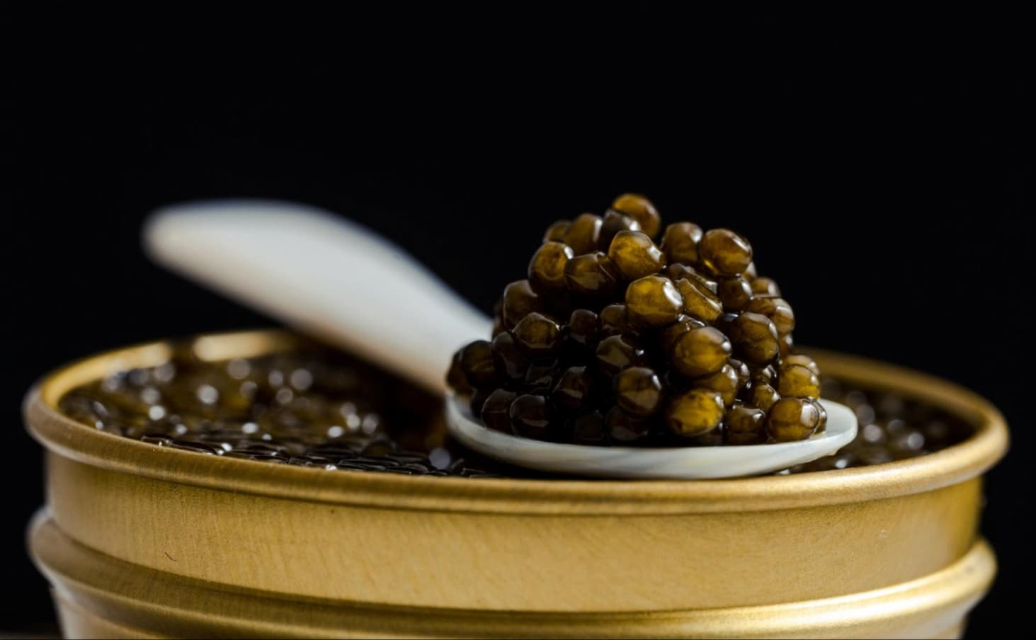 Imperia Caviar