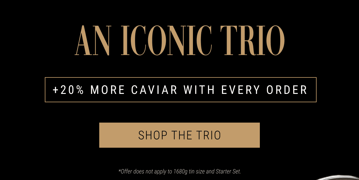 An Iconic Trio - Shop The Trio
