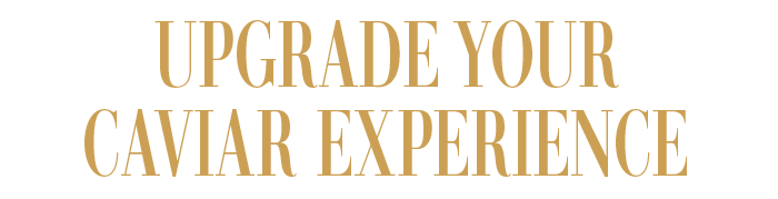 UPGRADE YOUR CAVIAR EXPERIENCE