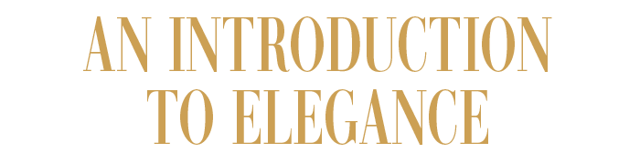 AN INTRODUCTION TO ELEGANCE
