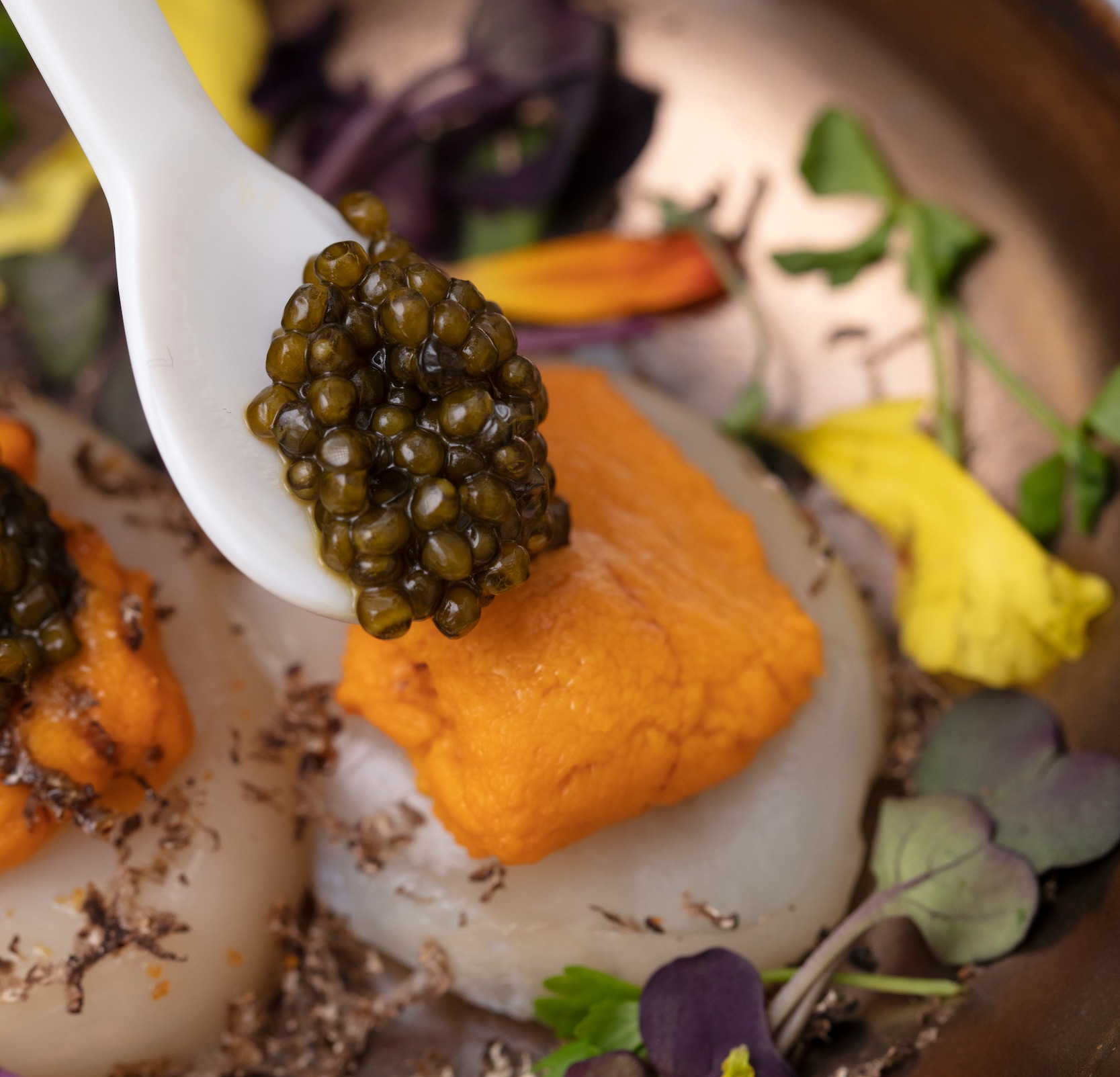 Scallop & Uni Shashimi with Caviar
