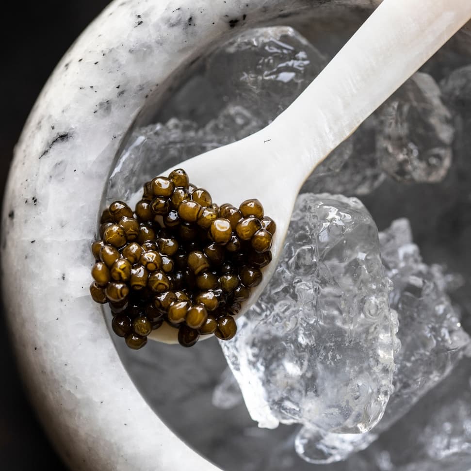 Imperia Caviar