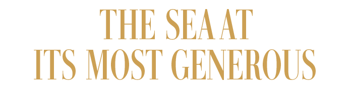 THE SEA AT ITS MOST GENEROUS