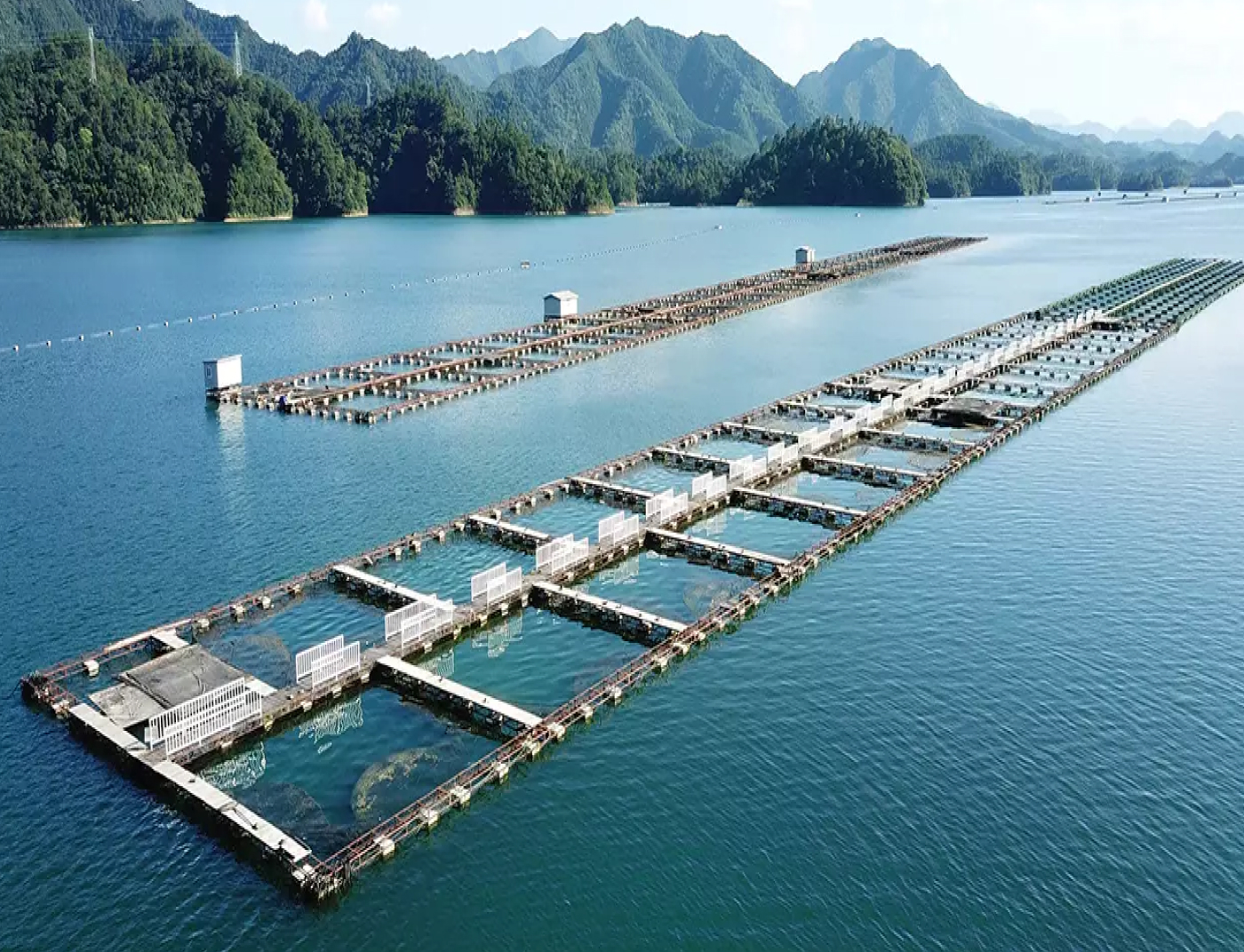 Our sustainable caviar farms