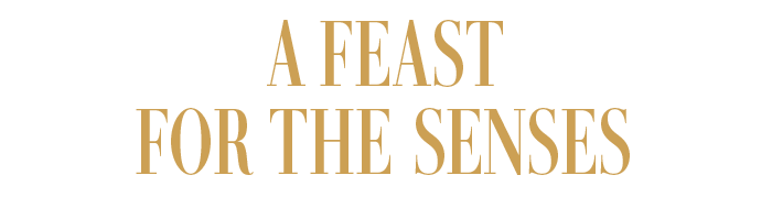 A FEAST FOR THE SENSES