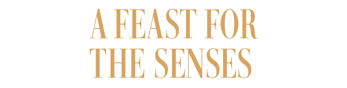  A FEAST FOR THE SENSES