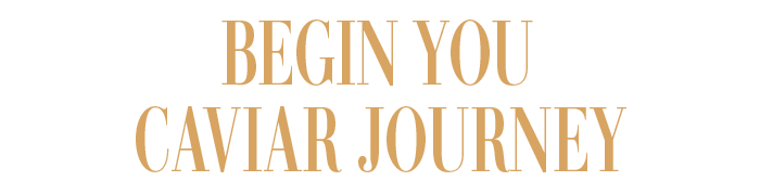 BEGIN YOU CAVIAR JOURNEY