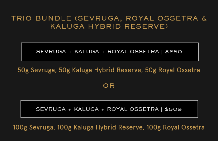 Trio Bundle