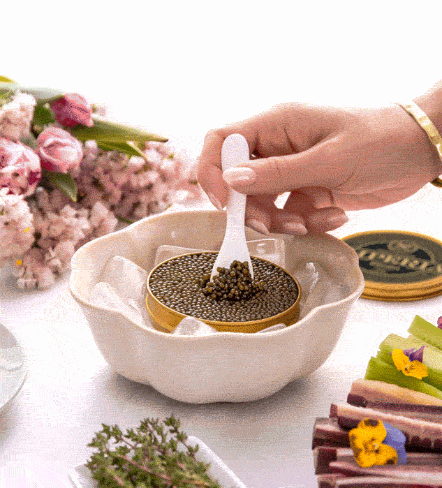 Imperia Caviar
