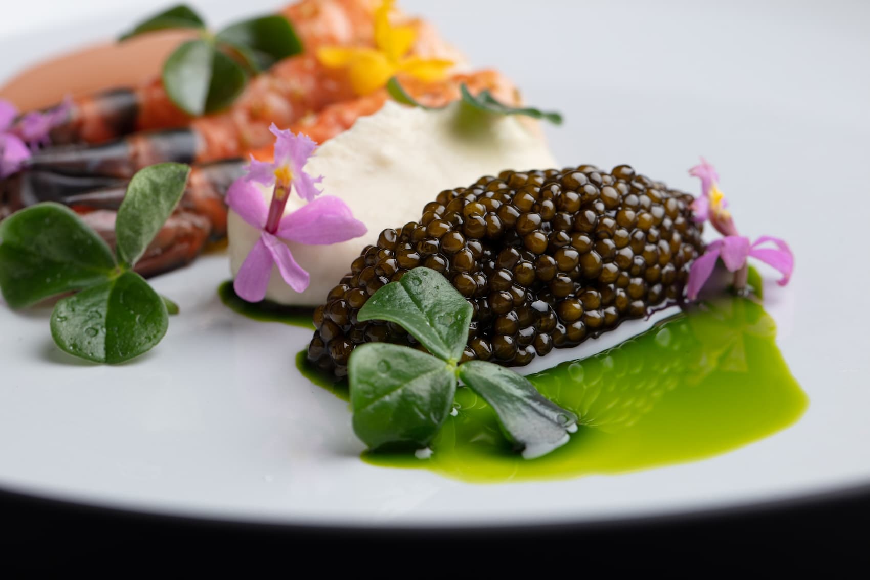 Imperia Caviar