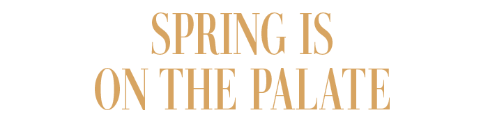 SPRING IS ON THE PALATE