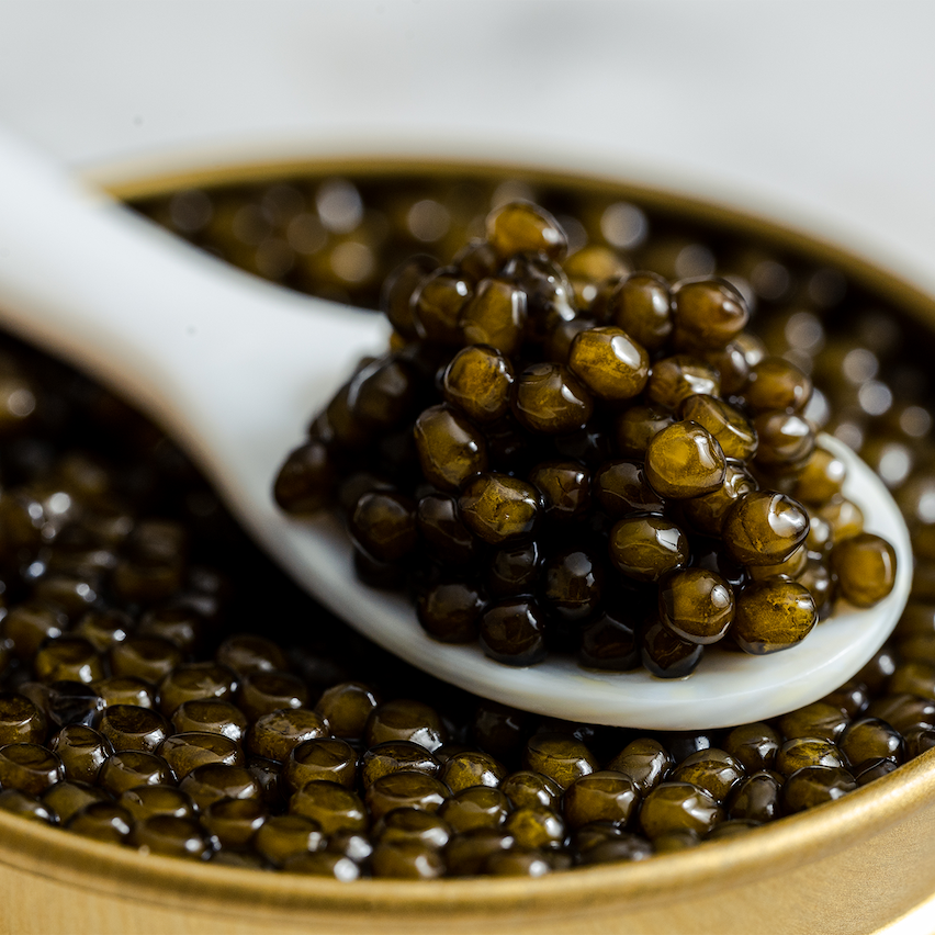 Imperia Caviar