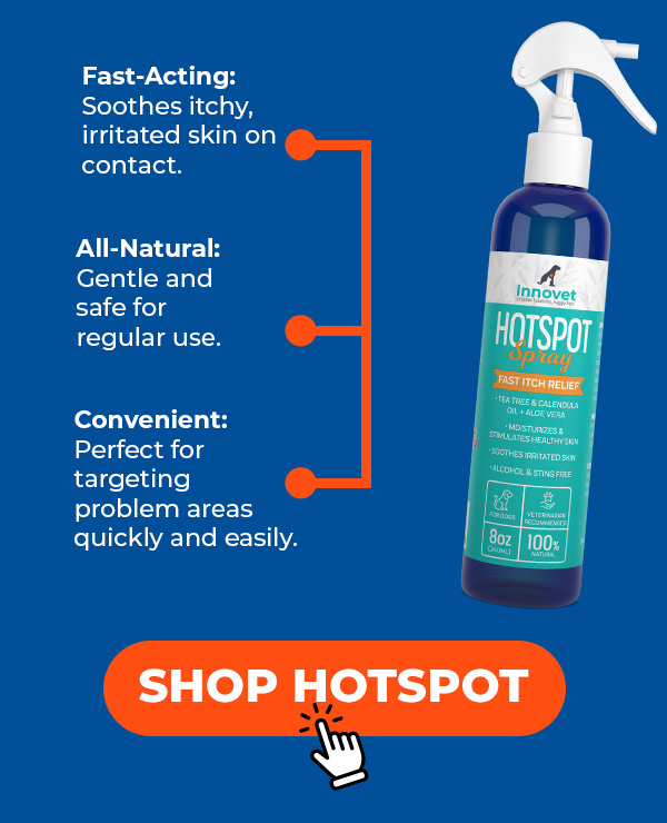 Shop Innovet HotSpot Anti-Itch Spray