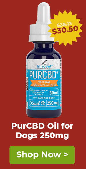 Shop PurCBD 250mg