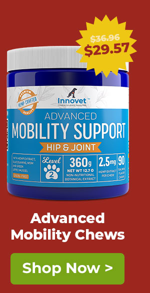 Shop Mobility Chews