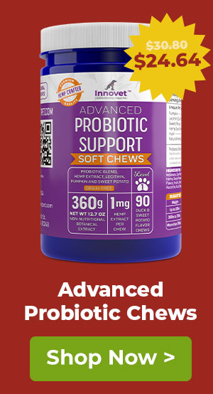 Shop Probiotic Chews