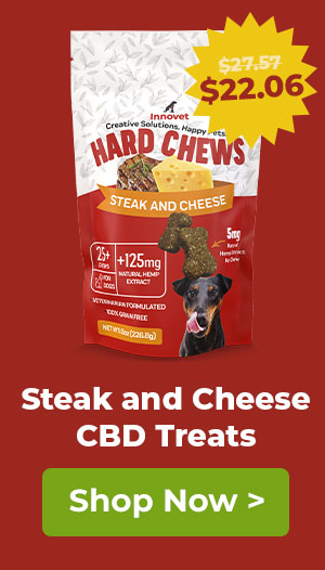 Shop Steak and Cheese CBD Treats