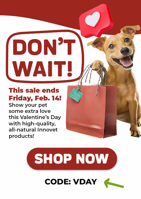 Shop Innovet Pet Products
