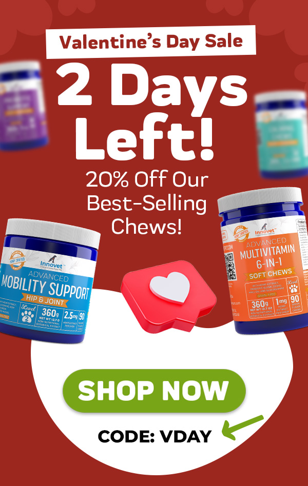 Shop Innovet Pet Products