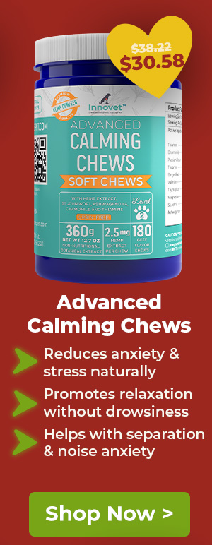 Shop Innovet Advanced Calming Chews