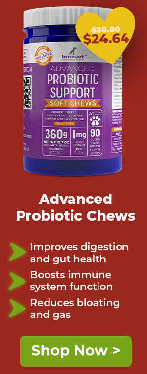Shop Innovet Probiotic Chews