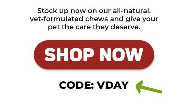 Shop Innovet Pet Products