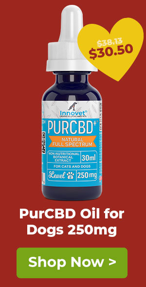 Shop Innovet PurCBD Oil