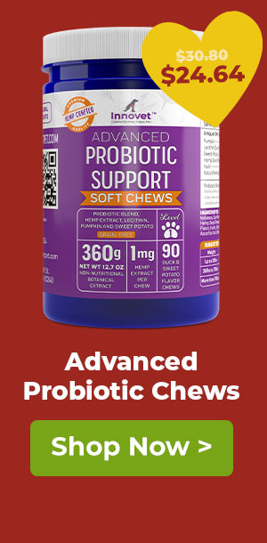 Shop Innovet Probiotic Chews