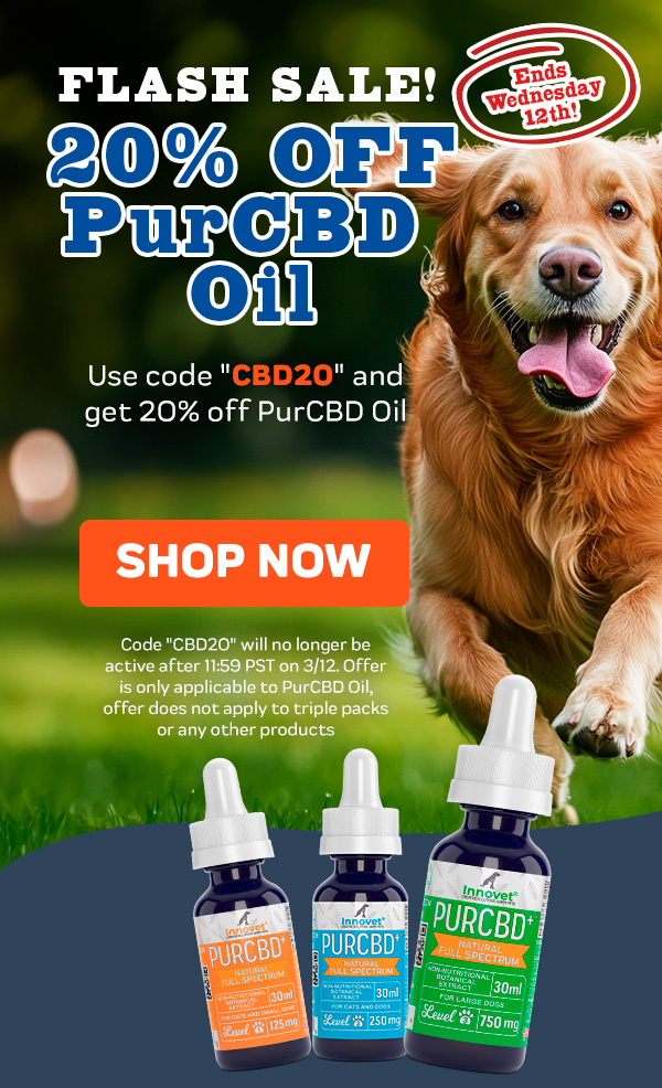 Shop Innovet PurCBD Oil