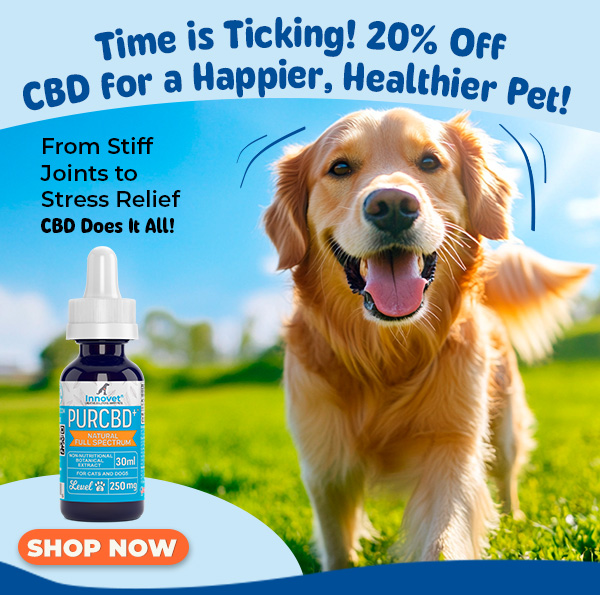 Shop Innovet PurCBD Oil