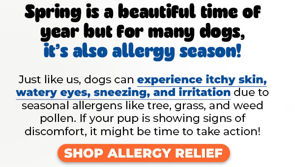 Shop Innovet's Allergy Relief Collection