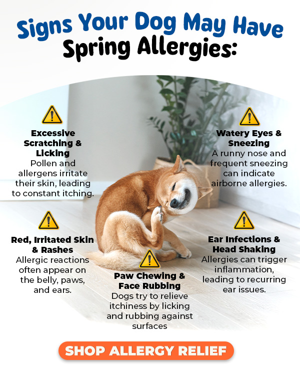 Shop Innovet's Allergy Relief Collection