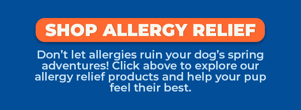 Shop Innovet's Allergy Relief Collection