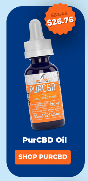 Shop Innovet PurCBD Oil