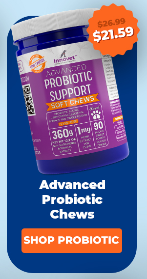 Shop Probiotic Chews