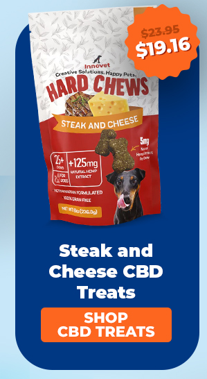 Shop Steak and Cheese CBD Treats