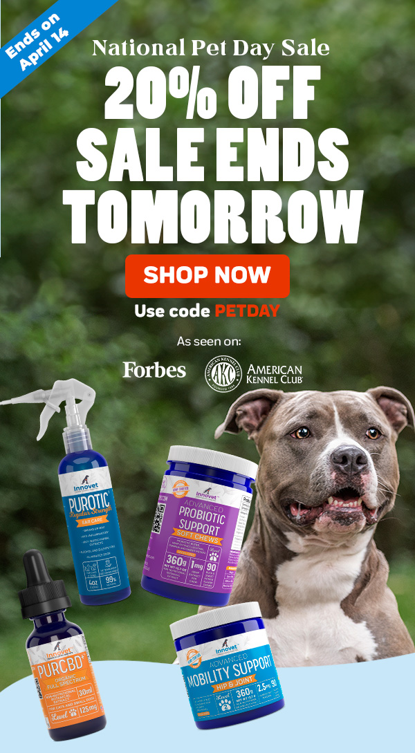 Shop Innovet Pet Products