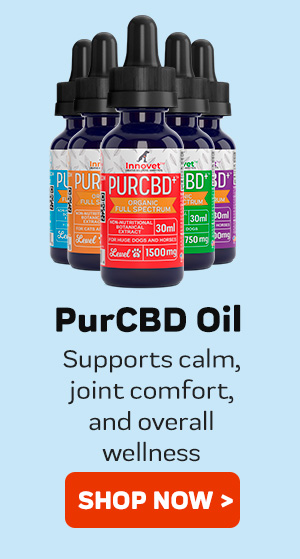 Shop PurCBD Oil