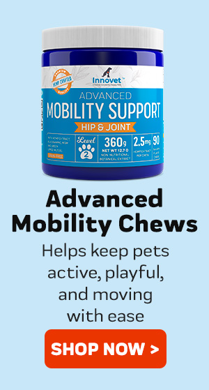 Shop Mobility Chews