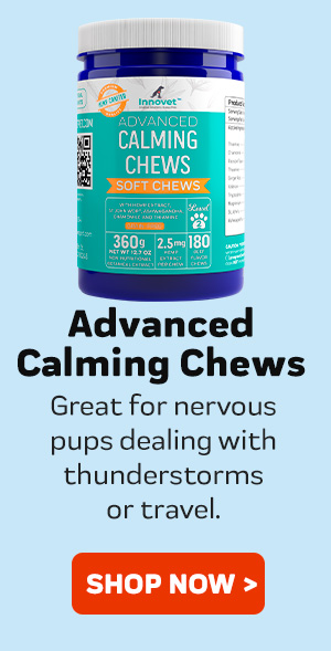 Shop Calming Chews