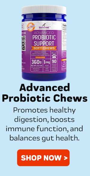 Shop Probiotic Chews