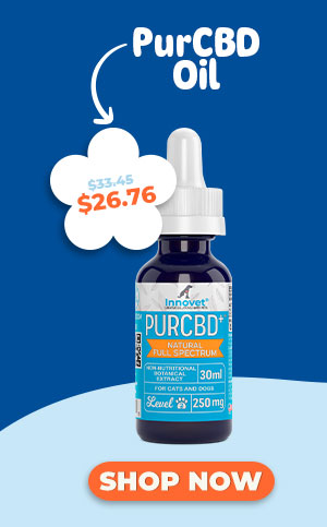 Shop PurCBD Oil For Dogs